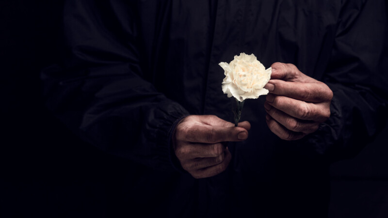 Person in dark clothing holding a single white rose against a dark background.