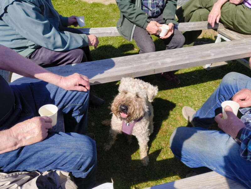 Kuvassa ihmiset ovat kerääntyneet eväsretkelle penkkien äärelle ja keskellä ihmisten muodostamaa ympyrää on koira.