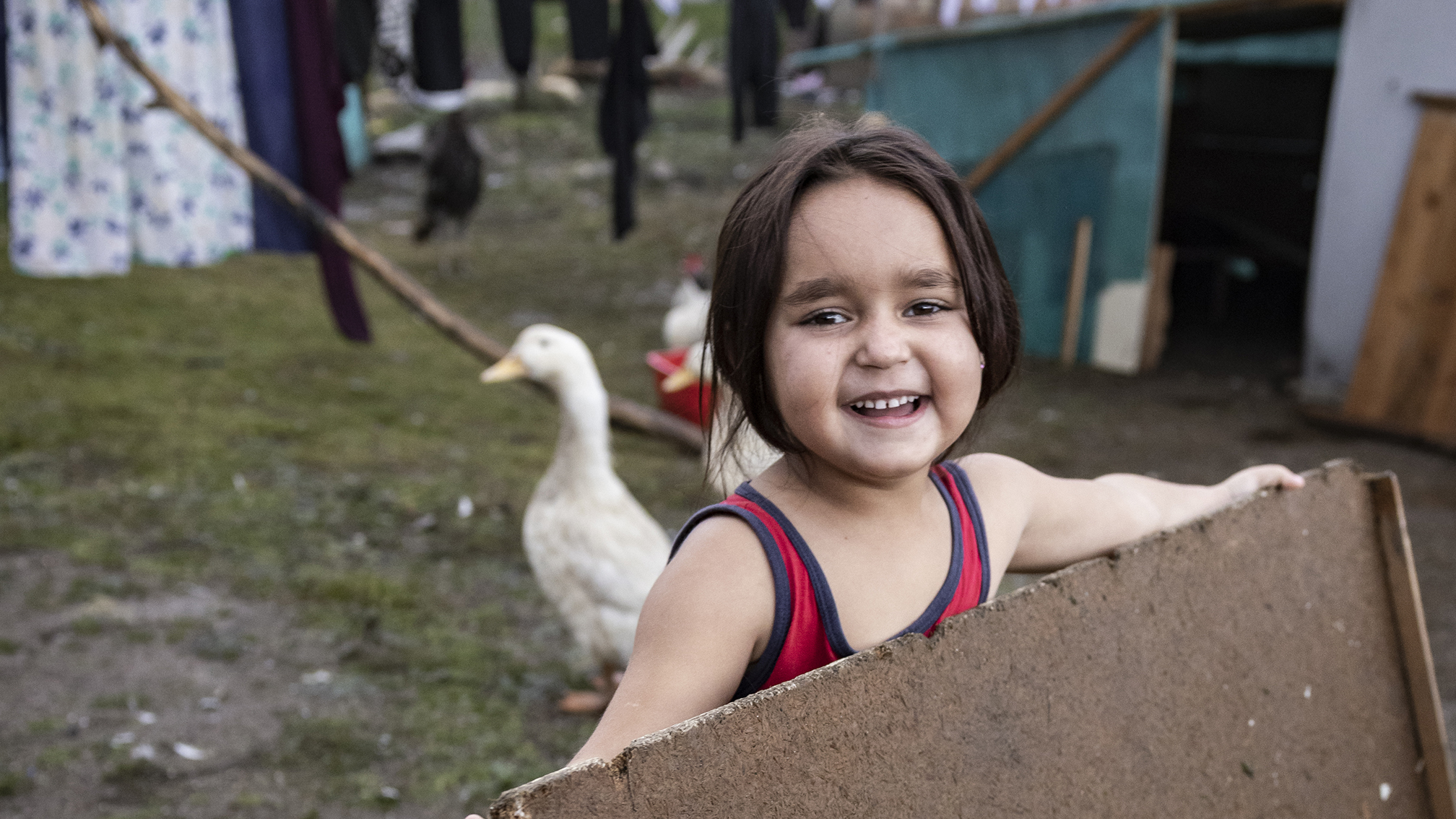 Hymyilevä pieni lapsi pitelee pahvinpalasta pihalla, taustalla näkyy valkoinen hanhi sekä kuivumassa olevia vaatteita.